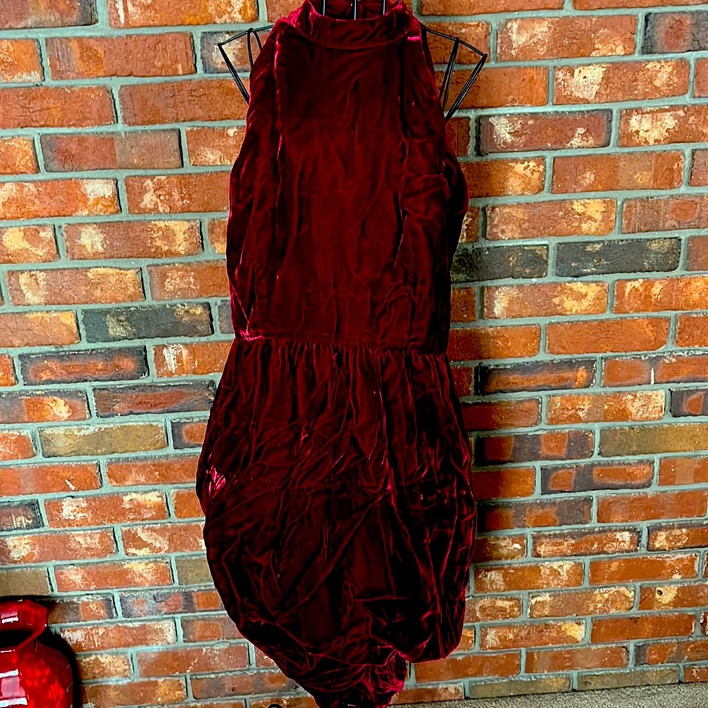 Vintage Velvet Dress
